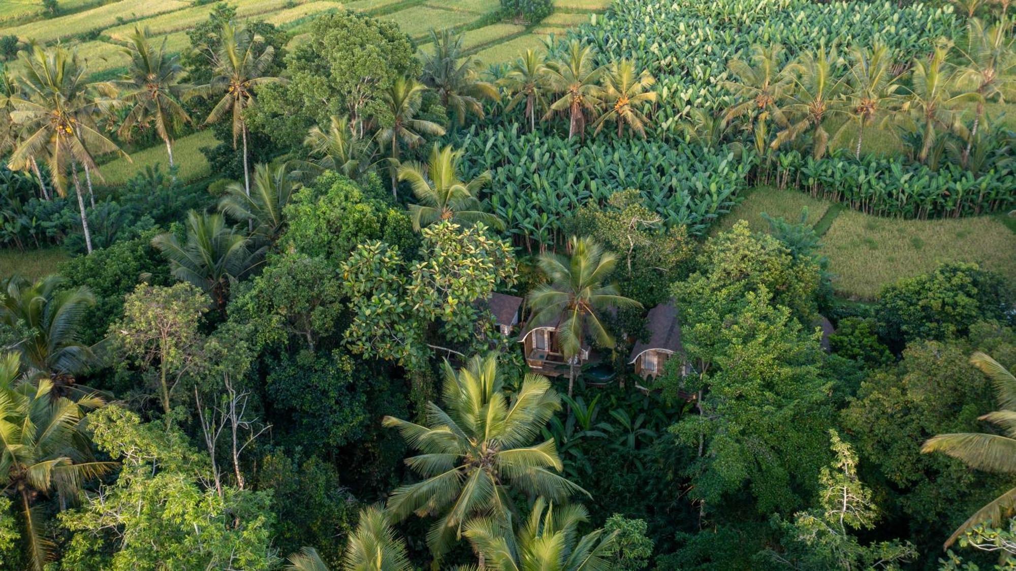 Sacred Canyon Ubud By Pramana *