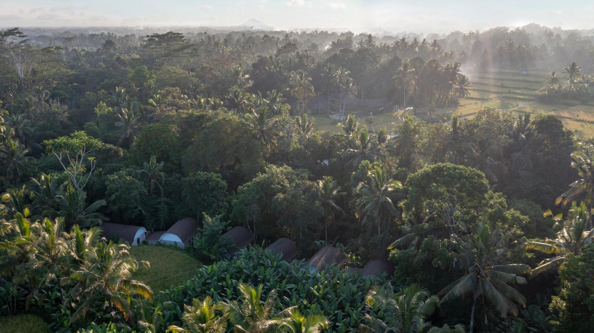 Sacred Canyon Ubud By Pramana Villa
