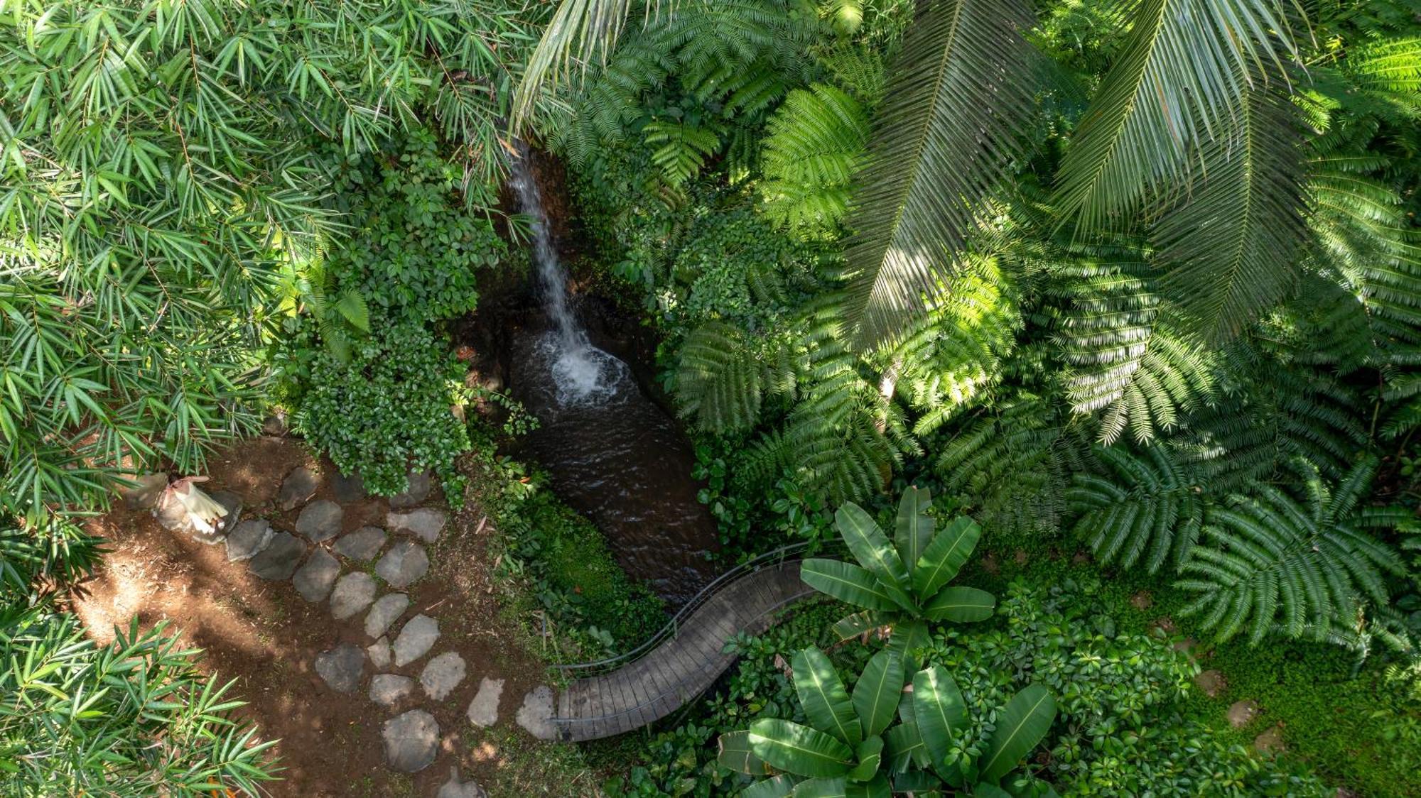 Sacred Canyon Ubud By Pramana Payangan