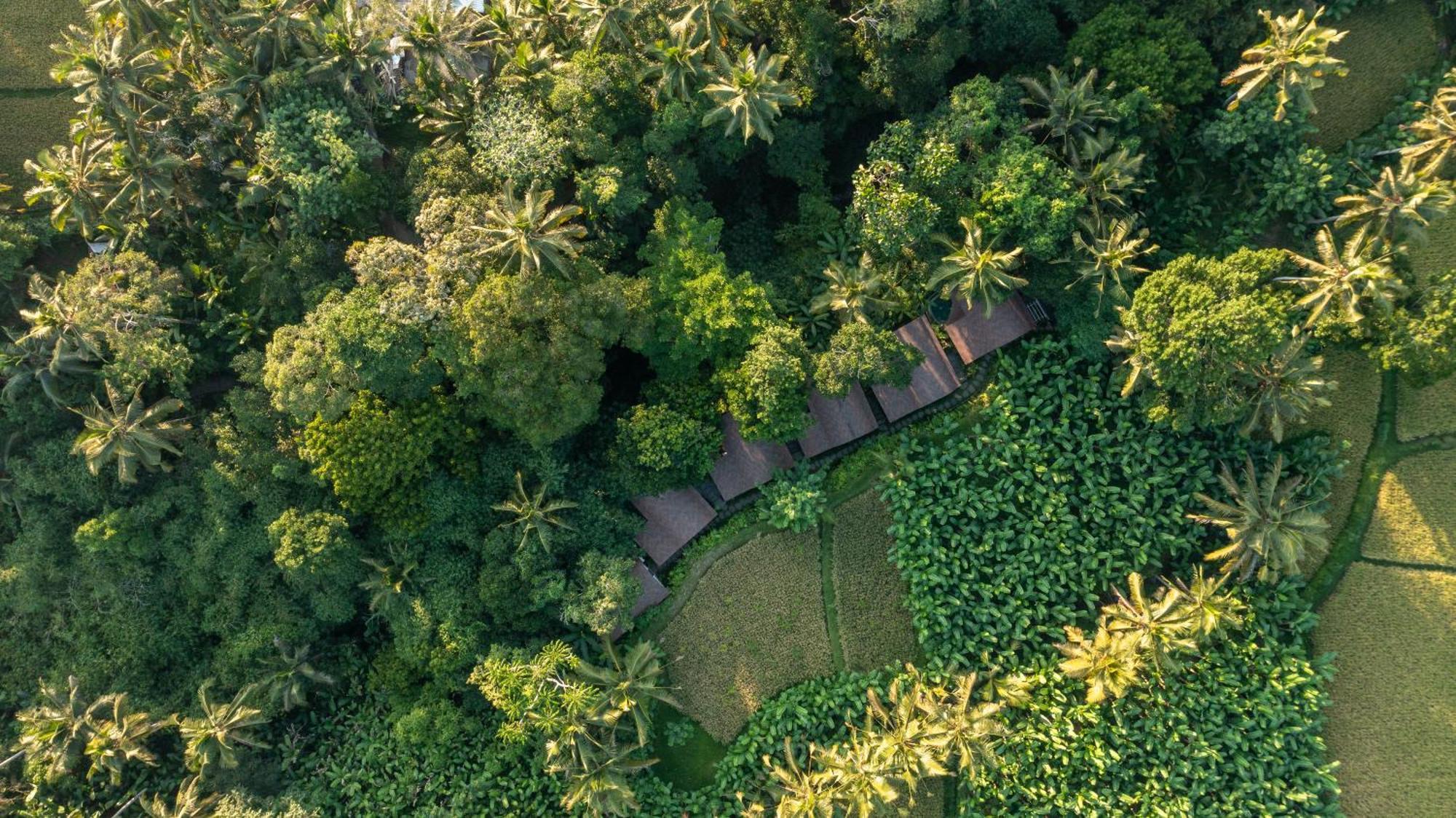 Sacred Canyon Ubud By Pramana * Payangan