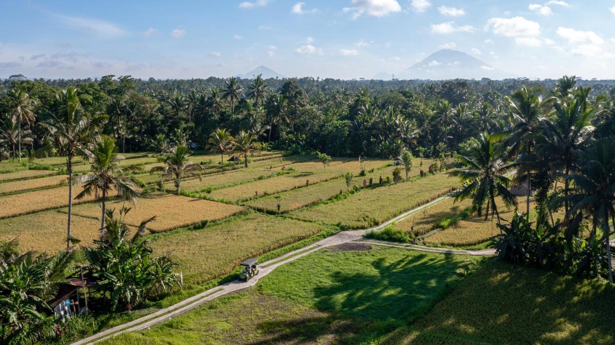 Sacred Canyon Ubud By Pramana *