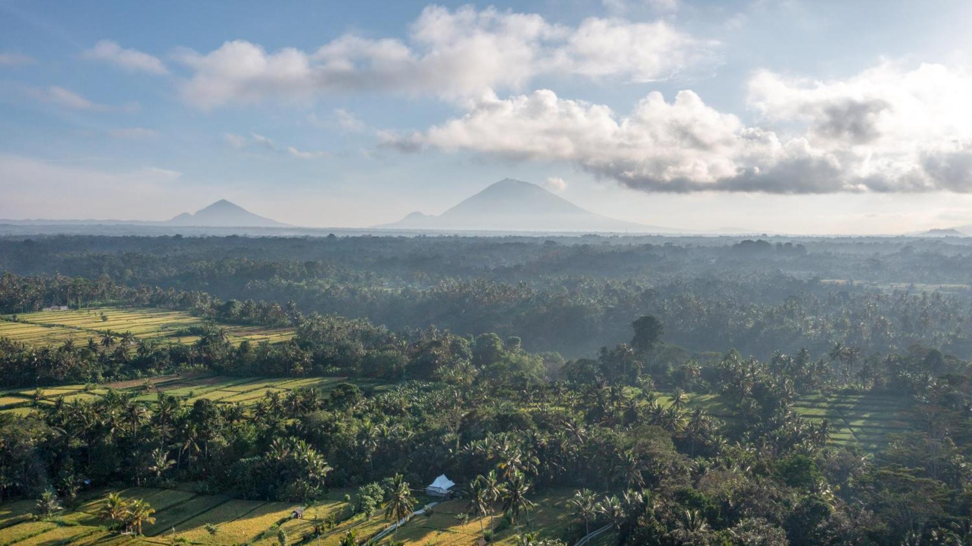 Villa Sacred Canyon Ubud By Pramana