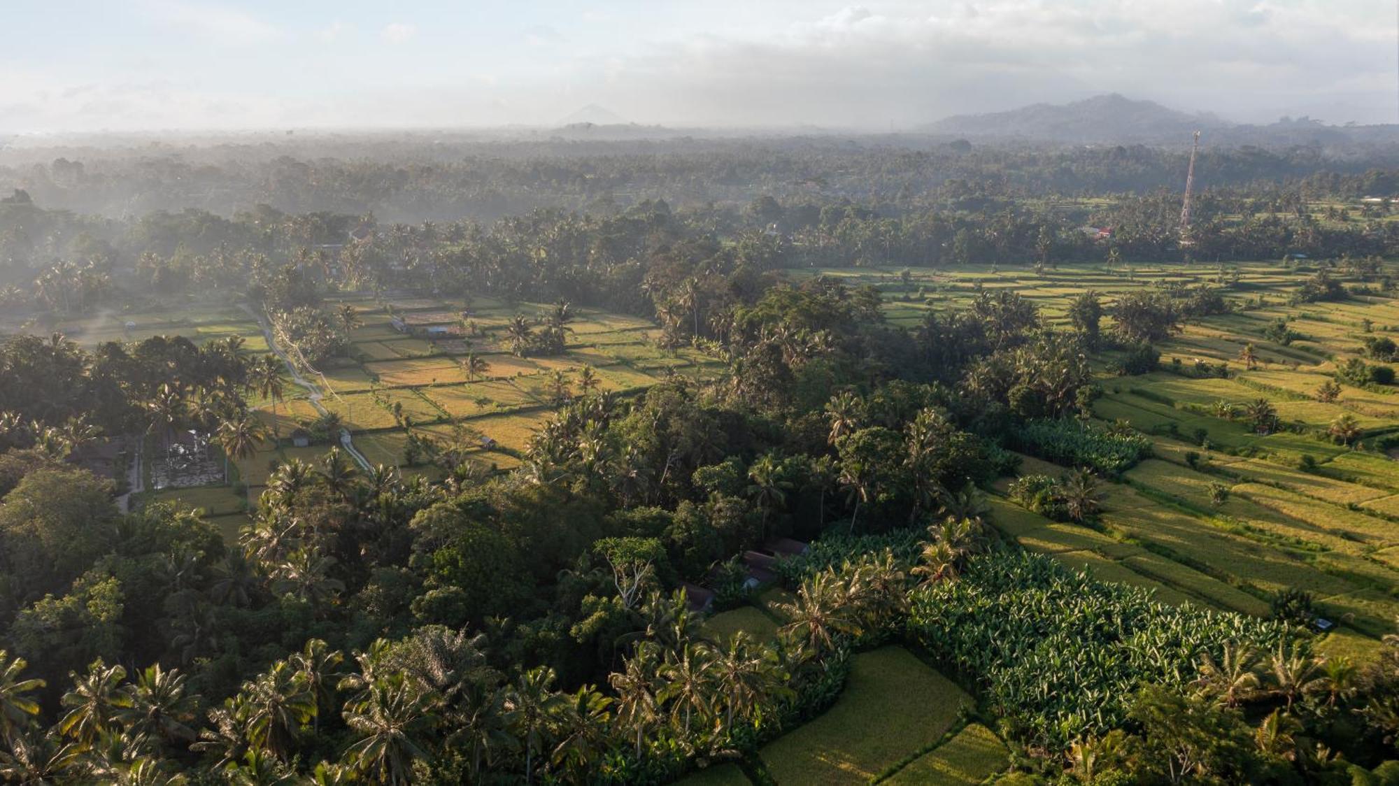 Villa Sacred Canyon Ubud By Pramana *