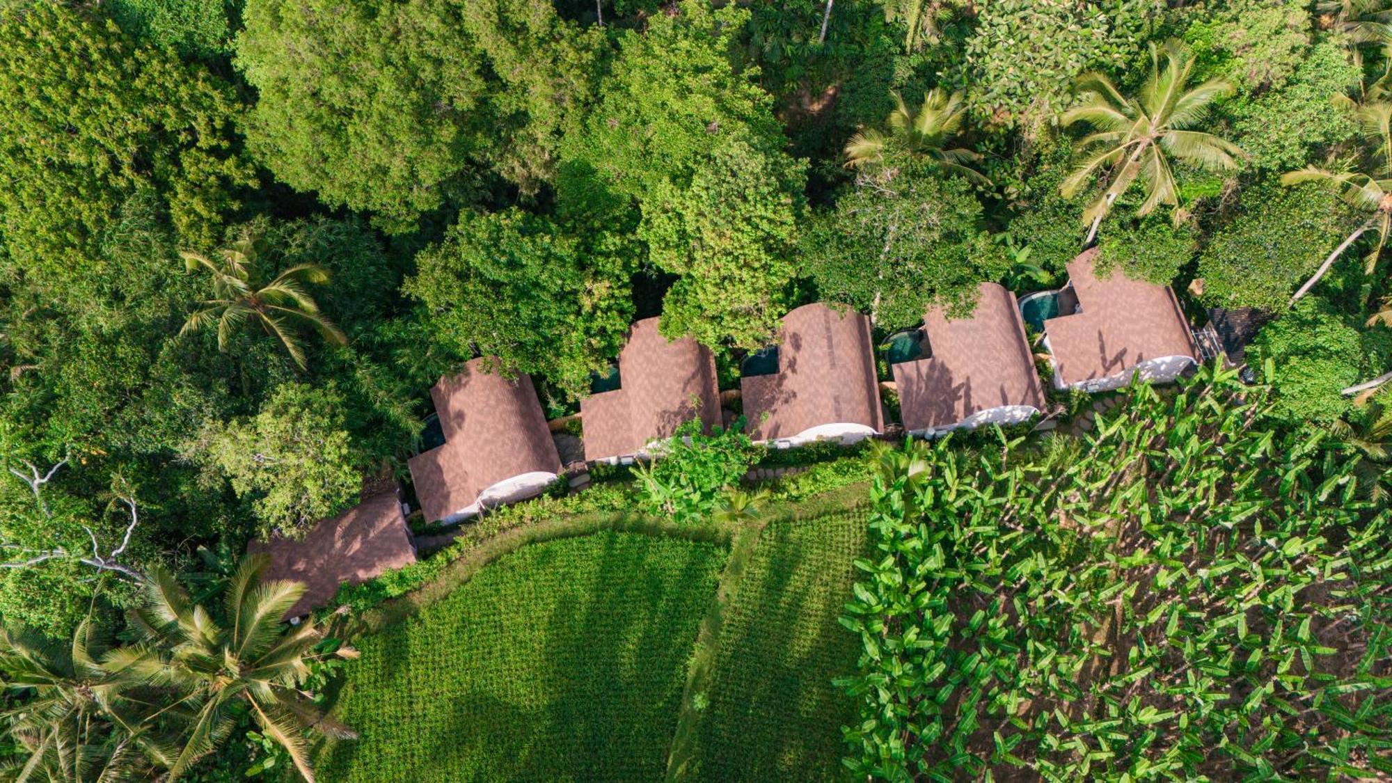 Sacred Canyon Ubud By Pramana