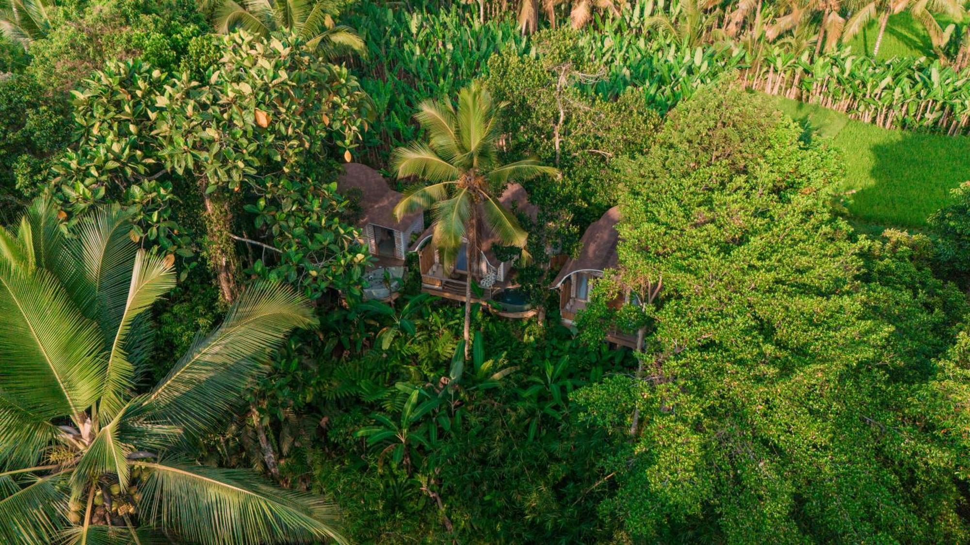 Sacred Canyon Ubud By Pramana Villa