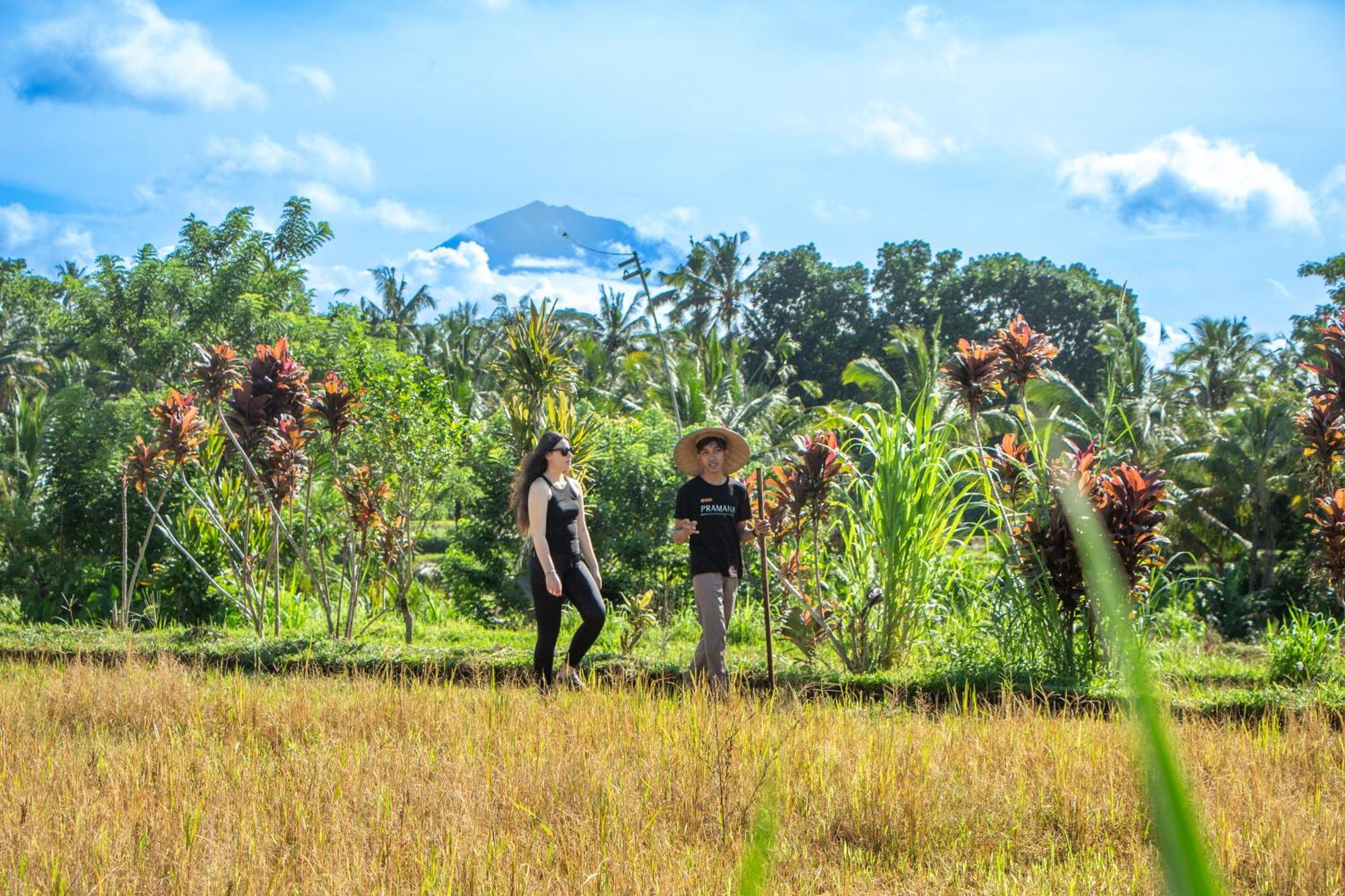 Sacred Canyon Ubud By Pramana * Payangan